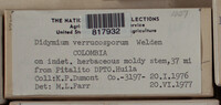 Image Associated With the Occurence